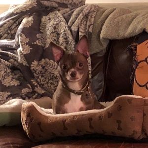 Meet your Posher, Rachel